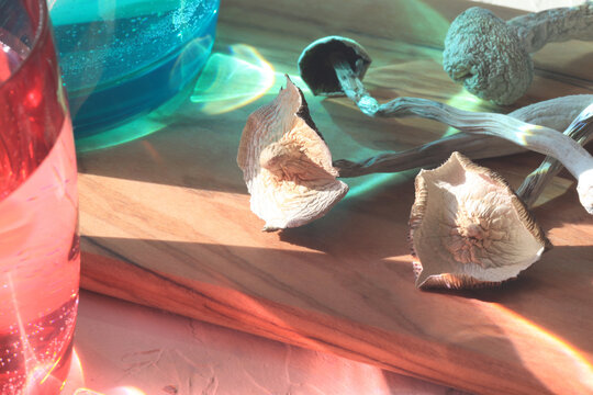 Psilocybin Mushrooms