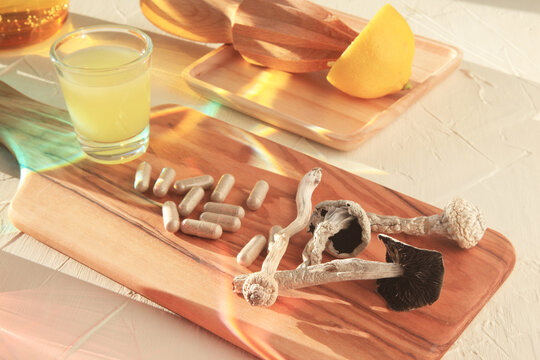 Psilocybin Mushrooms