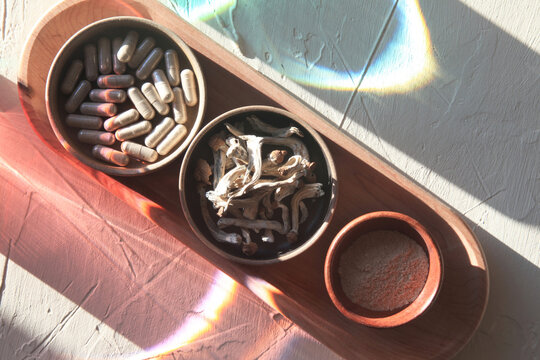 Psilocybin Mushrooms