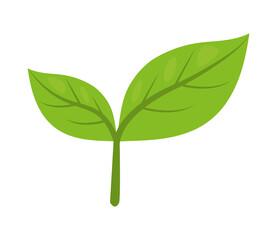 green plant icon