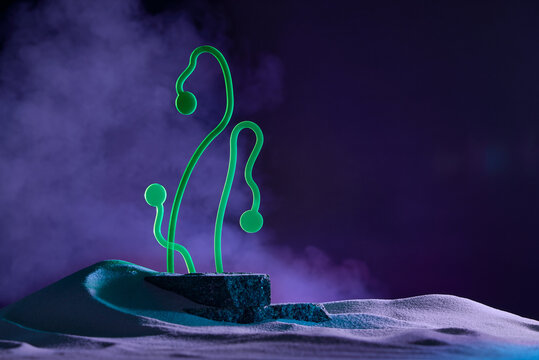 Green sprout growing on dark background with colorful smoke