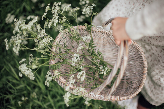 Woman carrying a basket of Cow Parsley.