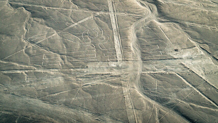 The Pelican Nazca ancient mysterious geoglyph. Nazca lines as seen from the aircraft. Nazca lines are landmarks of Peru