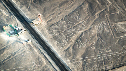 Tree Nazca ancient mysterious geoglyph. Nazca lines as seen from the aircraft. Nazca lines are landmarks of Peru