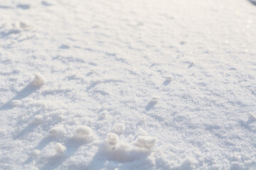 Real snowy surface background. Winter clean snow backdrop