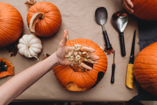 Pumpkin Carving
