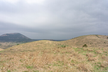한국 제주도 가을 풍경
