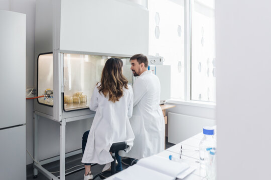 Researchers Working In The Lab Chamber Together