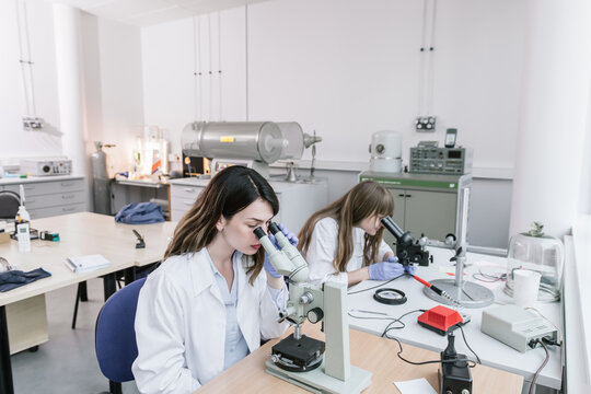 Women Looking At Microscopes

