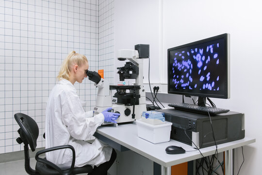 Scientist Looking At Microscope


