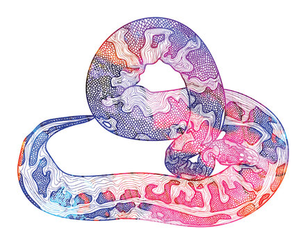 Royal python snake.  Meditative coloring of antistress. Arrows, strips, scales, lines. Logo, print on the T-shirt. Children's painting, drawing by hand. 