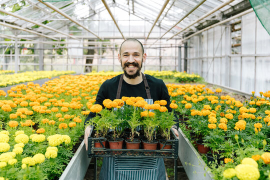 Young man working in greenhouse - Powered by Adobe