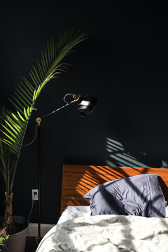 Bedroom interior in the morning