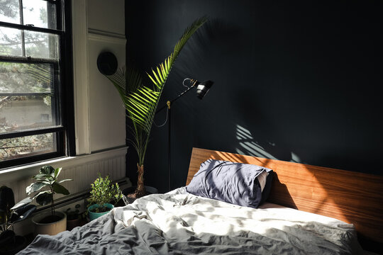 Bedroom interior in the morning