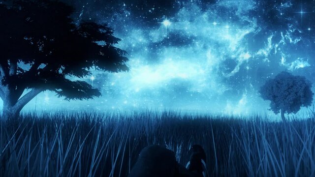 Lying in a Blue Grass Meadow under a Starry Sky - Landscape Background Loop Background