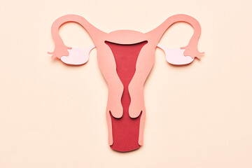 Female reproductive system illustration.