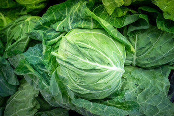 cabbage sale in market