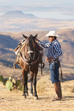 Cowboy & horse