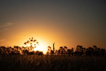 Obraz premium Sunset