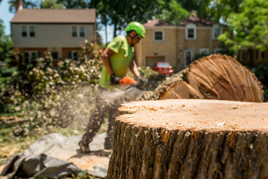 De-focused worker cutting a log with a chainsaw