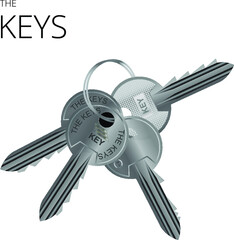 A Keychain With 4 Metal Keys, Realistic Key Vector
