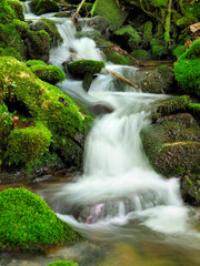 Water Fall Over the Moss Covered Boulders in the Smokey Mountains National Park