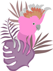 Tropical animals