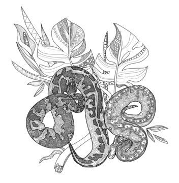 Snakes in the jungle. Royal python snake.  Meditative coloring of antistress. Arrows, strips, scales, lines. Logo, print on the T-shirt. Children's painting, drawing by hand. 