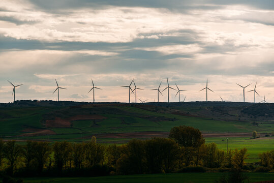 Windmills producing alternative energy in green meadow