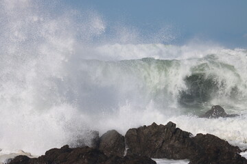 waves crashing on rocks Wellington Coastline New Zealand 