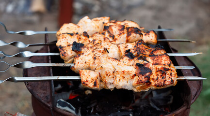Marinated shashlik preparing on a barbecue grill over charcoal