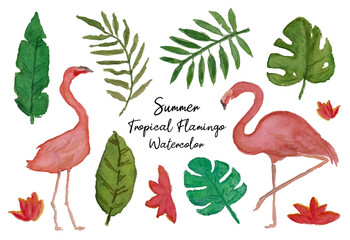 Cute Summer Flamingo Watercolor