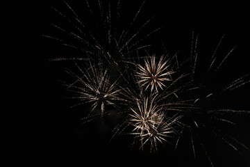 Fototapeta premium 4th of July Fireworks