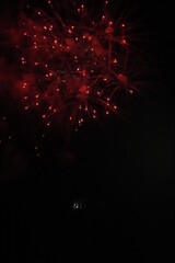 4th of July Fireworks