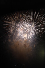 4th of July Fireworks