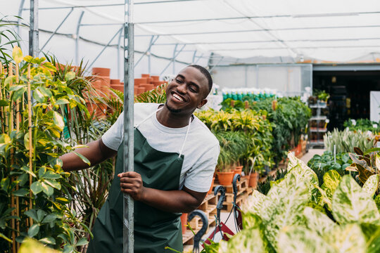 Florist Working in Greenhouse