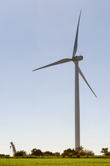 Fototapeta na wymiar Landscape of energy efficient wind turbine at the countryside near Tarariras, Colonia