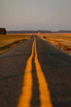 Vertical image of Road Landscape with double lines 