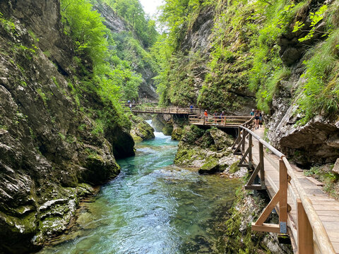 Hiking trail through Vintgar Gorge or Bled Gorge - Bled, Slovenia (Triglav National Park) - Wanderweg durch die Vintgar-Schlucht oder Vintgarklamm - Bled, Slowenien (Triglav-Nationalpark)