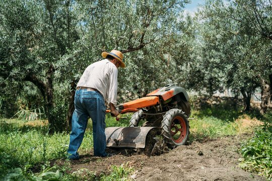 A Retired Man Works at his Vegetable Patch