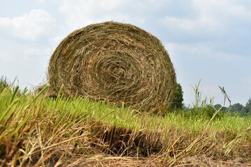 Hay Bale