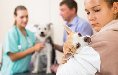 Father and daughter waiting for a vet diagnosis. High quality photo