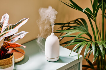 Wireless contemporary diffuser at home.
