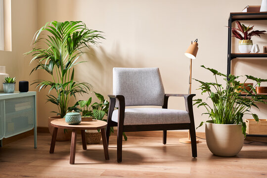 Contemporary cozy room.