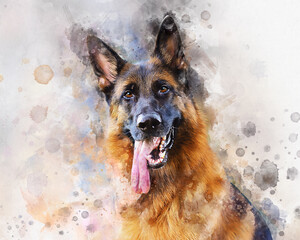 Watercolor portrait of German Shepherd dog. Hand drawn digital water color painting. - obrazy, fototapety, plakaty