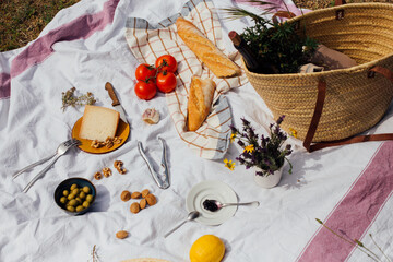 Young woman sitting among olive trees preparing picnic
