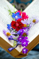 multicolored and many other colors in the book