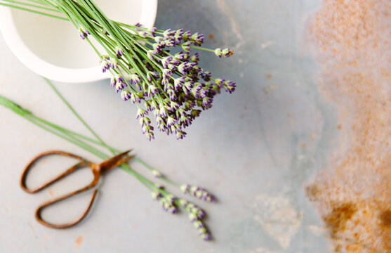 Cut lavender