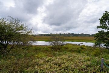 長野県諏訪市の霧ヶ峰を登山している風景 A view of climbing Kirigamine Peak in Suwa City, Nagano Prefecture.