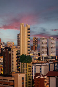 Skyscrapers in coastline megapolis at sunset